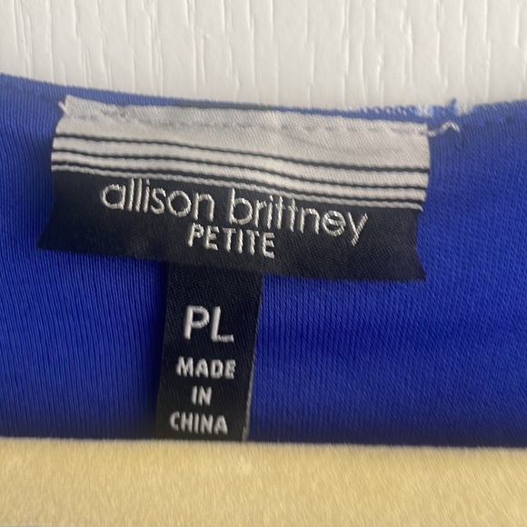 Allison Brittney - long dress, white & blue pattern with 3/4 “ sleeve. Size PL. - Picture 3 of 3